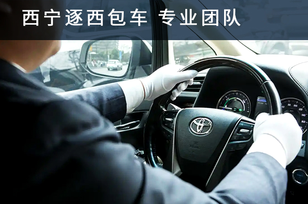 专业的包车团队